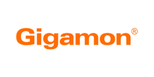 Gigamon 1