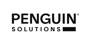 Penquine Solutions 1