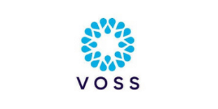 Voss 1